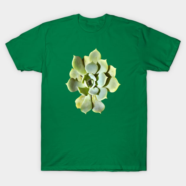 Succulent Echeveria Garden Plant Cut Out T-Shirt by taiche